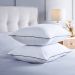 Soft As Silk Pillow 2 Pack